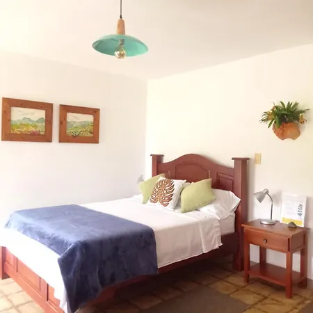Alojamiento Rural Jardin Consentido Room photo