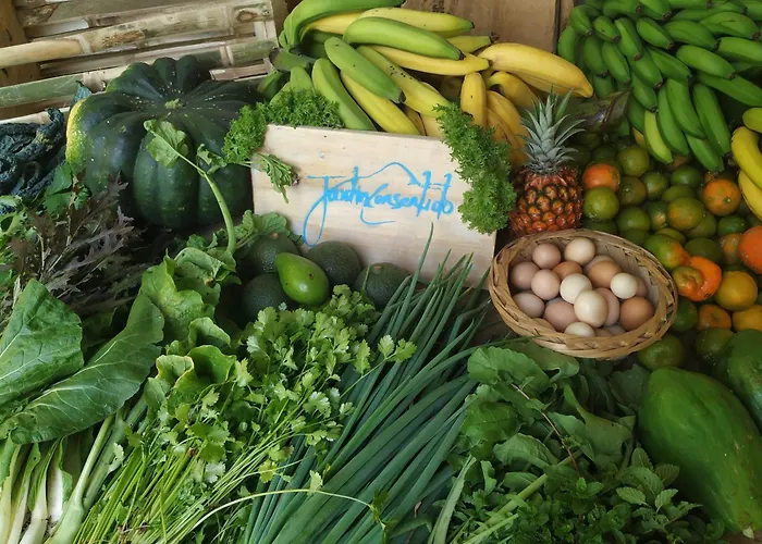 Alojamiento Rural Jardin Consentido