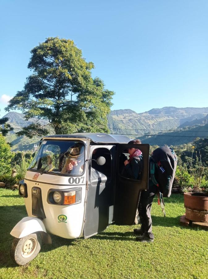 Rural Consentido *