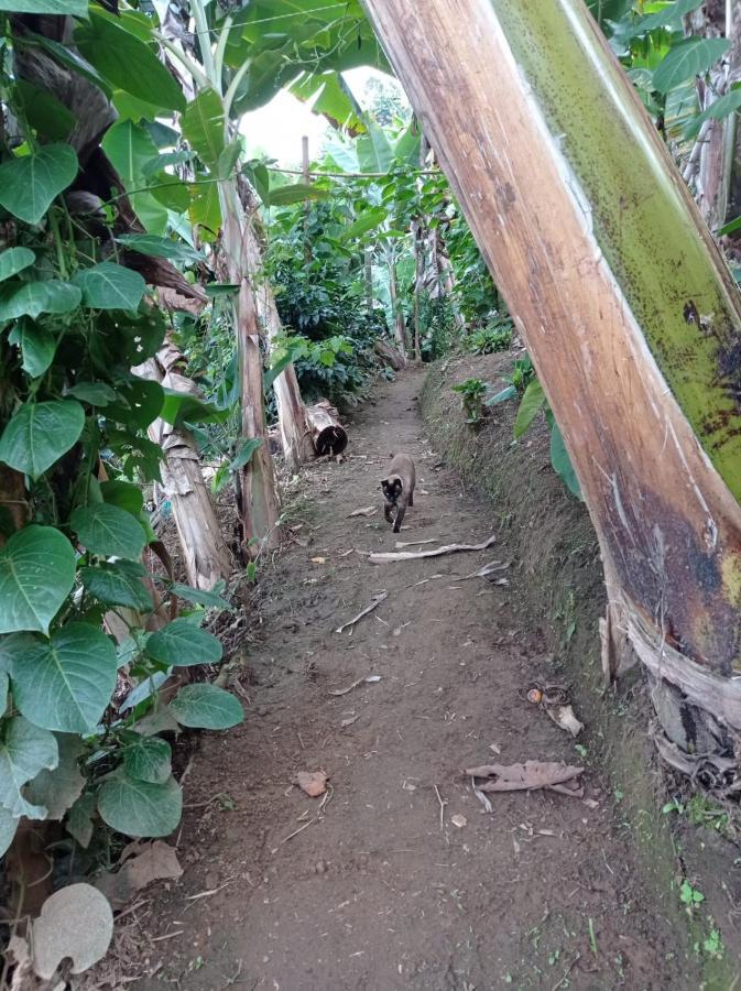 Rural Consentido Séjour à la campagne *