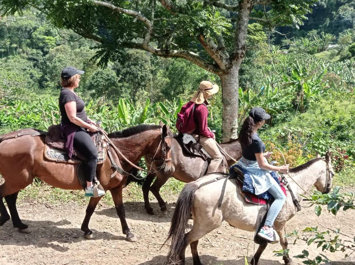 Rural Consentido Séjour à la campagne *