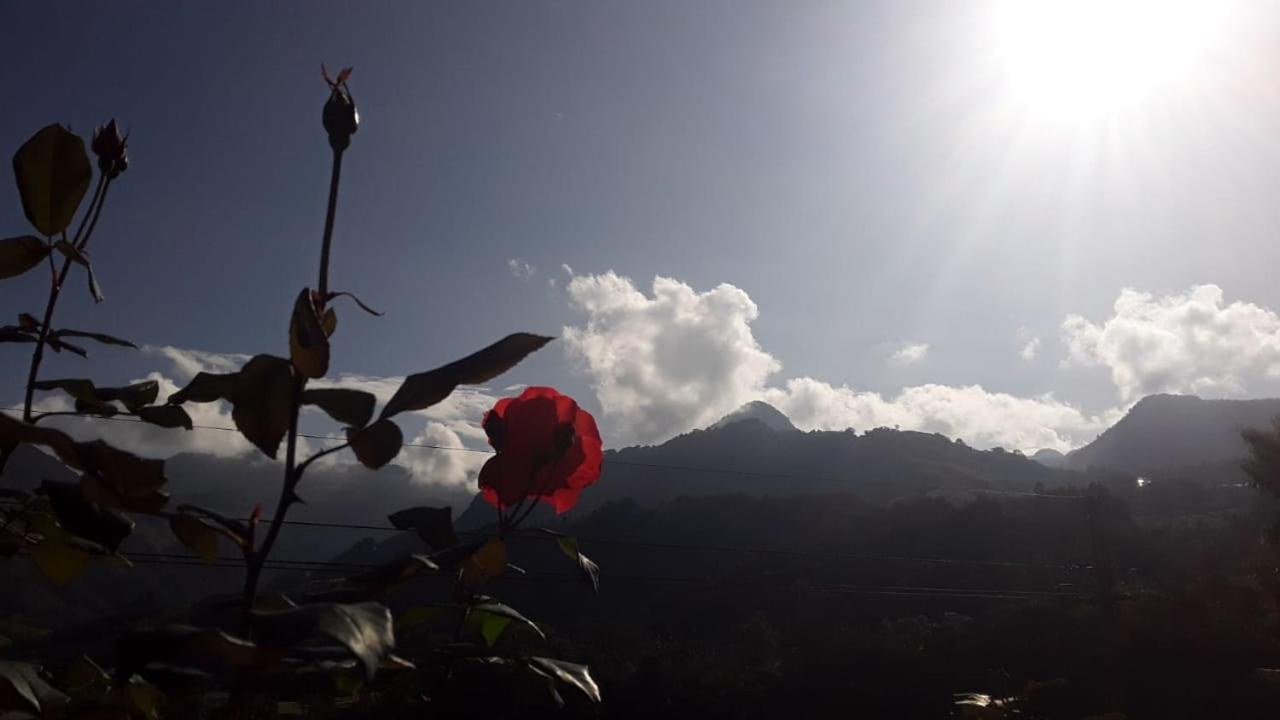 Rural Consentido Séjour à la campagne *